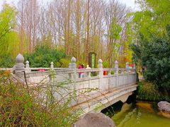 -洛阳市隋唐城遗址植物园
