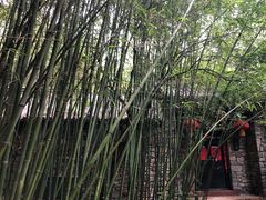 -竹泉村旅游度假区