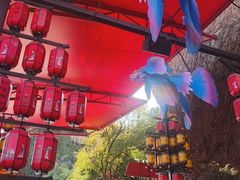-杭州宋城