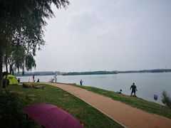 -丁香湖公园