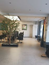 -付军剪艺JF ProSalon