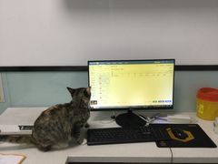 -嘉馨宠物医院·CT影像转诊·心脏科·犬猫全科诊疗中心(下沙大学城院区)