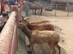 -无锡动物园·太湖欢乐园
