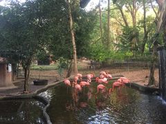 -清迈夜间动物园