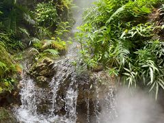 -深圳仙湖植物园