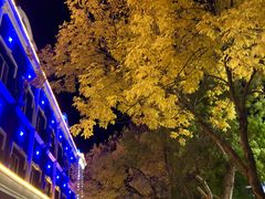 -布尔津河堤夜市