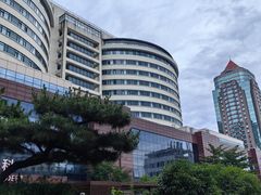 -上海市东方医院(总院)