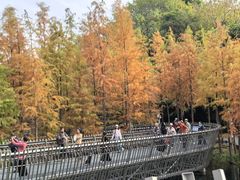 -福道
