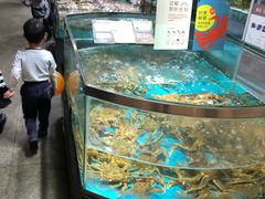 水产区-徐记海鲜(阿波罗店)