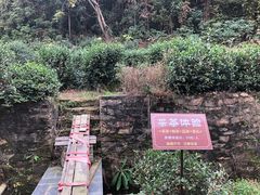 -黄陂区野村谷景区