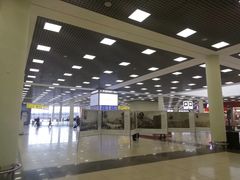 -谢列梅捷沃国际机场