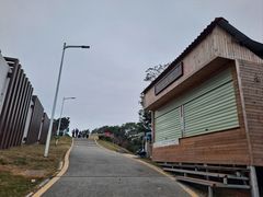 -黄埔油麻山森林公园