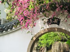 -深圳国际园林花卉博览园