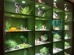-慢丽江·云南野生菌土鸡锅(西山店)