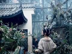 -东莞植物园