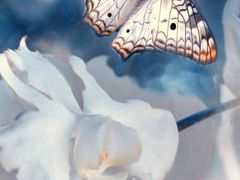 -GODIVA(万象城店)