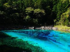 -乡土特色.冷锅鱼.牦牛肉汤锅