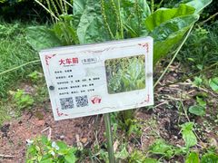 -广州神农草堂中医药博物馆