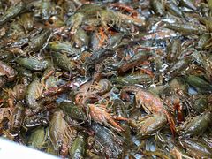 -拙味兄弟龙虾(新香洲店)