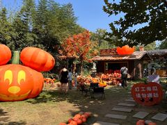 -HERRE·FARM 赫尔露营农场·团建聚会包场