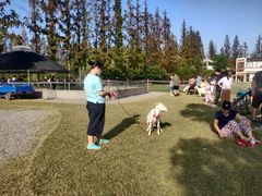 -前小桔亲子创意农场·草莓采摘·露营烧烤