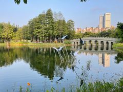 -四海公园(南山区)