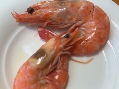 -视界美食自助餐厅·石家庄希尔顿酒店