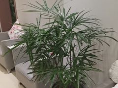-北京地坛口腔门诊部