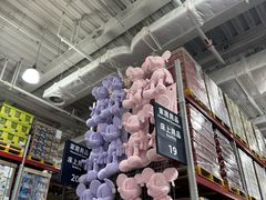 -山姆会员商店(亦庄创意生活广场店)