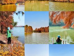 -上海海湾国家森林公园