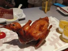 -大鸽饭(体育西路店)