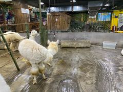 -上海大自然野生昆虫馆(东方明珠·爬宠昆虫探索中心)