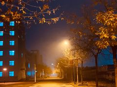 -南开大学滨海学院