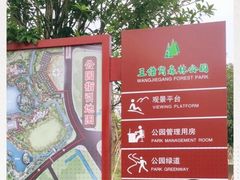 -王借岗森林公园