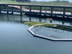 -苏州太湖国家湿地公园