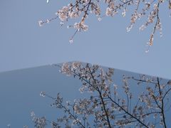 -龙美术馆(西岸馆)