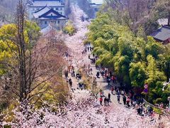 -南京城墙景区