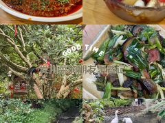 -青城甲(青城山店)