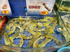 水产区-东江海鲜酒家(客村店)
