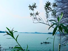 -长广溪湿地公园