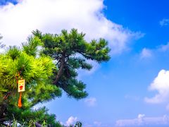 -天津盘山风景名胜区