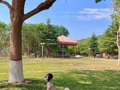 -黄河小浪底水利枢纽风景区