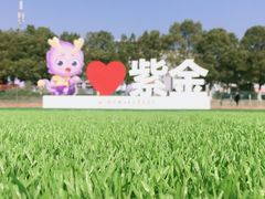 -南京理工大学紫金学院