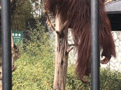 -云南野生动物园