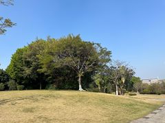 -厦门悦华酒店