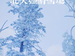 -雾凇岛