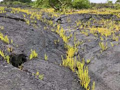 -夏威夷火山国家公园