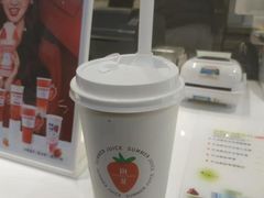 -树夏(锦里店)