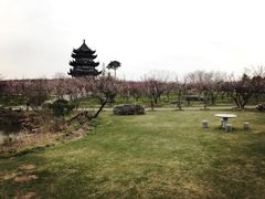 -上海海湾国家森林公园