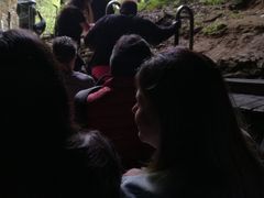 -怀托摩萤火虫洞